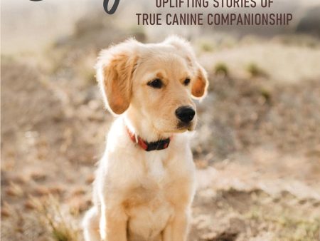 Dog Tales: Uplifting Stories of True Canine Companionship on Sale